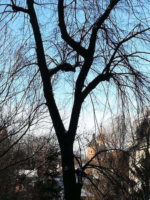 Chillout Apartment Sarego Krakow Dış mekan fotoğraf